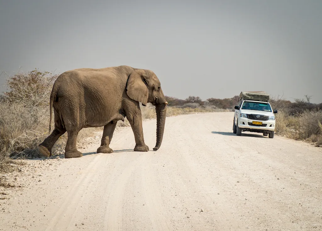 Ein Elefant überquert die Straße im Etosha Nationalpark